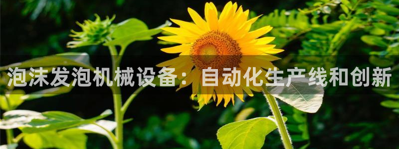 杏盛官方平台：泡沫发泡机械设备：自动化生产线和创新