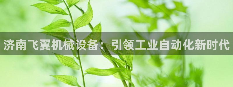 杏盛注册登录：济南飞翼机械设备：引领工业