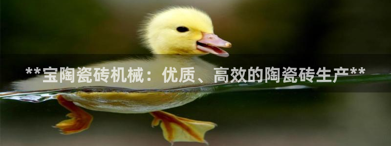 杏盛平台登录地址：**宝陶瓷砖机械：优质、高效的陶瓷砖生产**