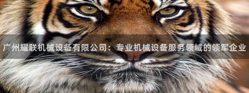 杏盛开户地址：广州耀联机械设备有限公司：专业机械设备服务领域的领军企业