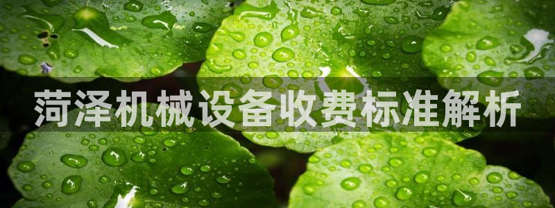 杏盛乐岳35994誓：菏泽机械设备收费标准解析