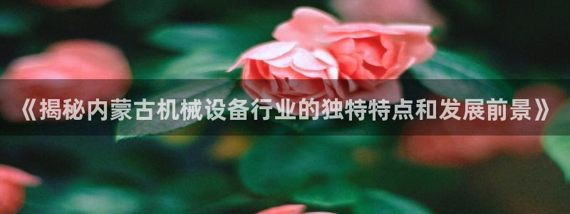 杏盛官网登录：《揭秘内蒙古机械设备行业的独特特点和发展前景》