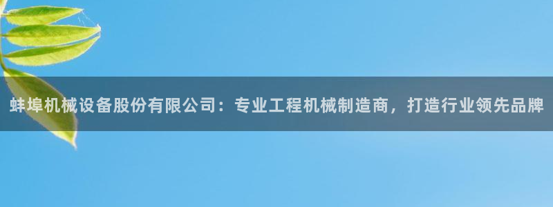 杏盛平台登录：蚌埠机械设备股份有限公司：